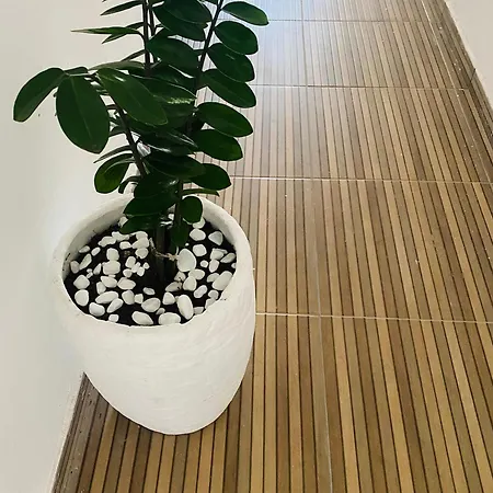 Novo Apartamento Liz 1-2